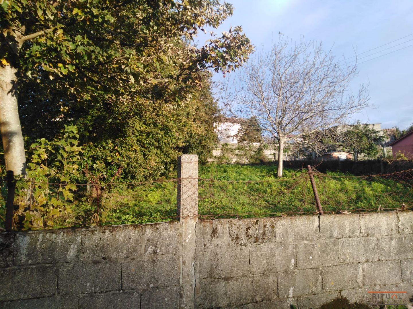 tev-2021-139-vista-2