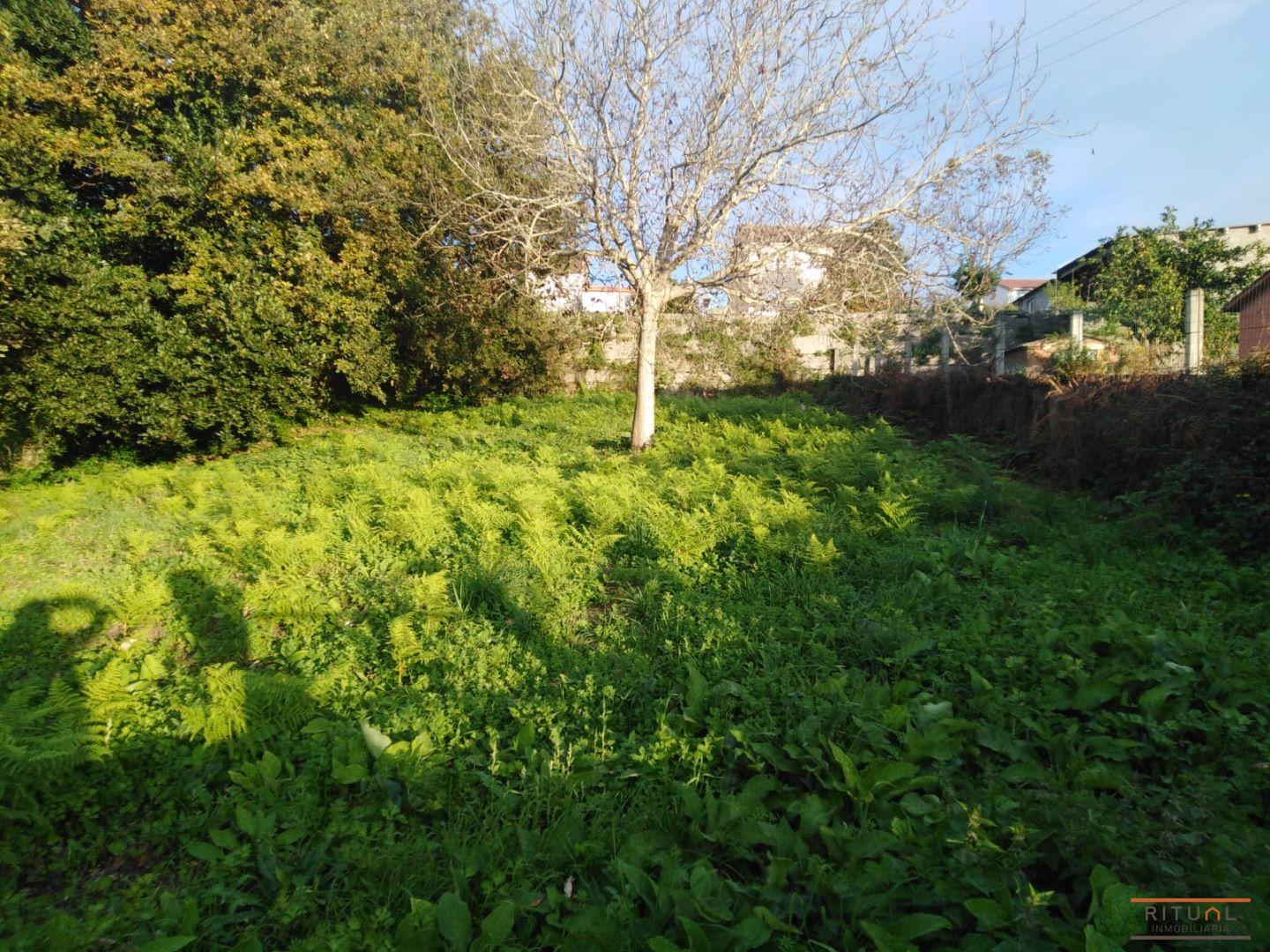 tev-2021-139-vista-4 (1)